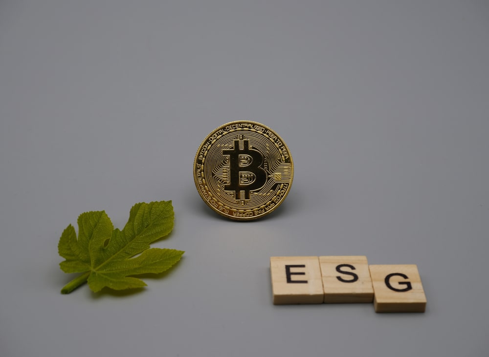 ESG and Bitcoin