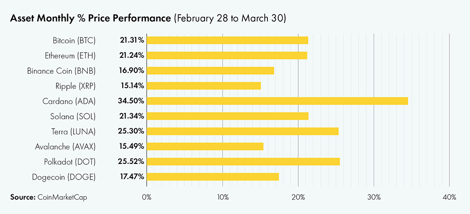 Crypto Performance Overview March